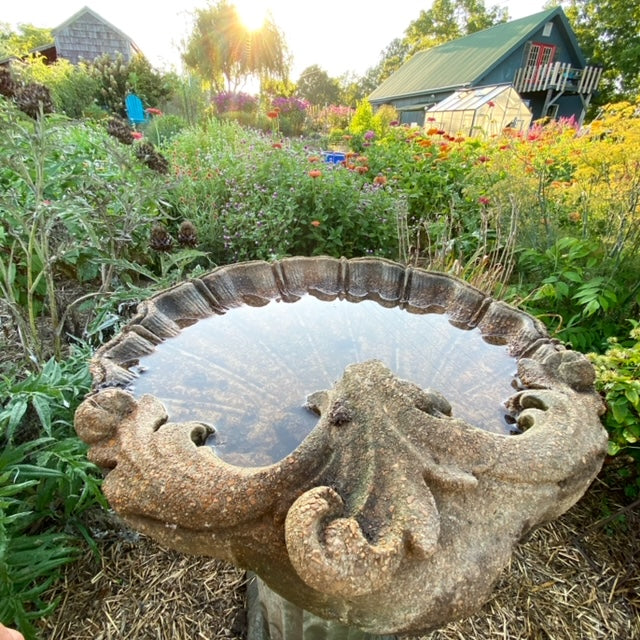 the cut flower garden at mountainlily farm