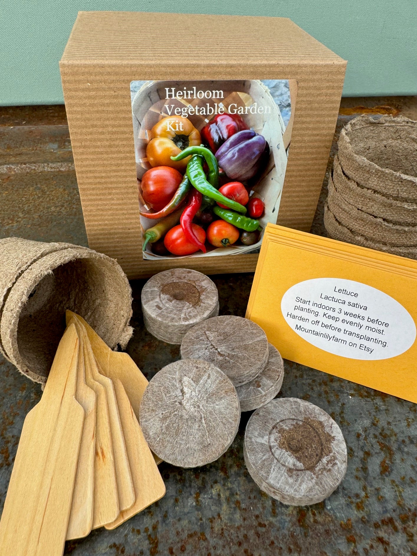 heirloom vegetable kit for diy organic gardening