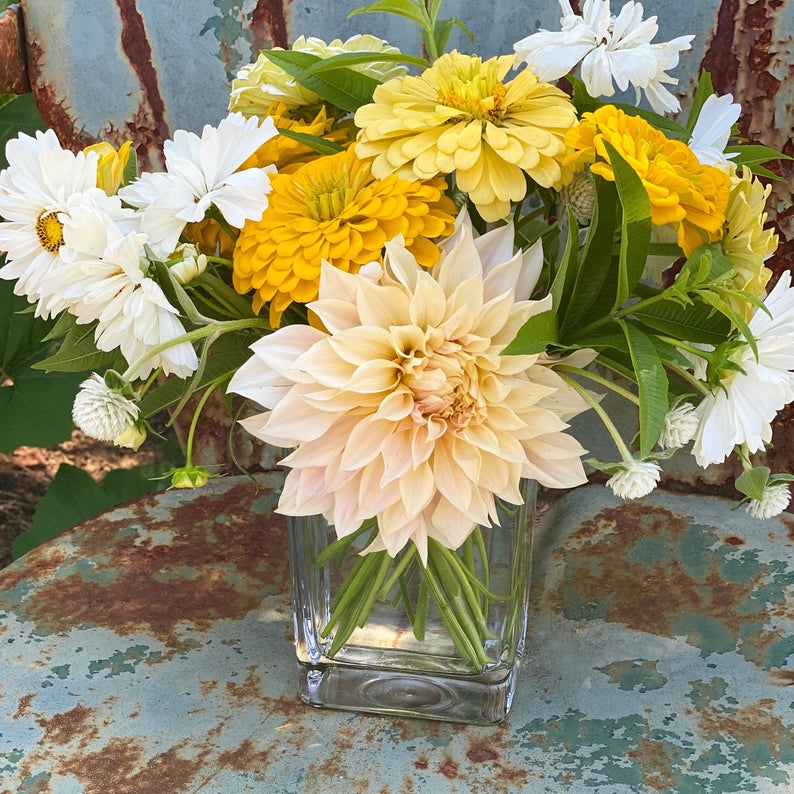 Dahlias and Yellow Zinnia Isabellina