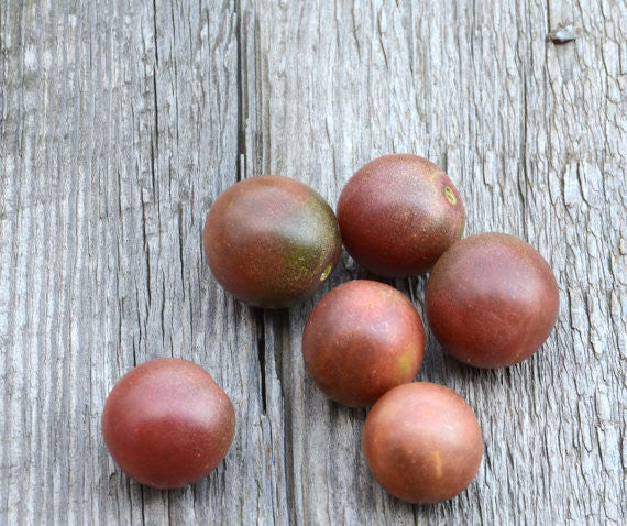 Cherry Tomato Seeds Black Cherry Tomato