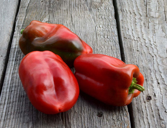 Bull Nose Red Bell Pepper Seeds