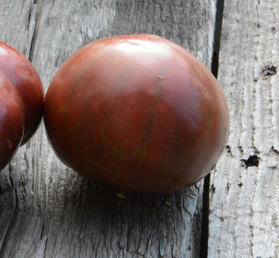 Open Pollinated Tomato Cherokee Purple