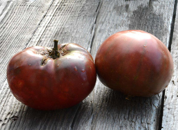 Cherokee Purple Heirloom Tomato