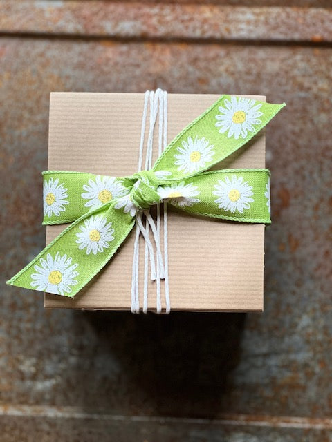 Hummingbird Garden Kit, Flower Seeds and Garden Growing Supplies