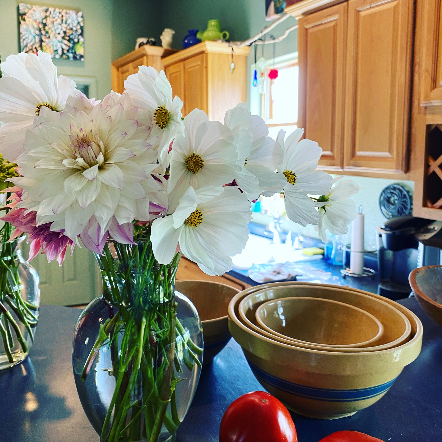 Afternoon White Cosmos in Mixed Arrangement