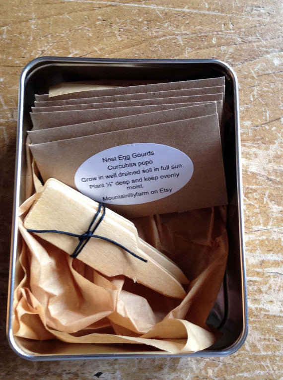 Children's Garden Seed Kit