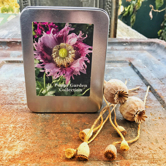 poppy garden seeds Poppy Seed Collection, Easy to Grow Poppy Garden Seeds, 6 Varieties of Poppy Seeds