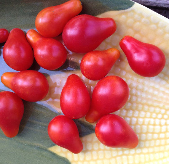 Heirloom Tomato Seed Red Pear Cherry Tomato