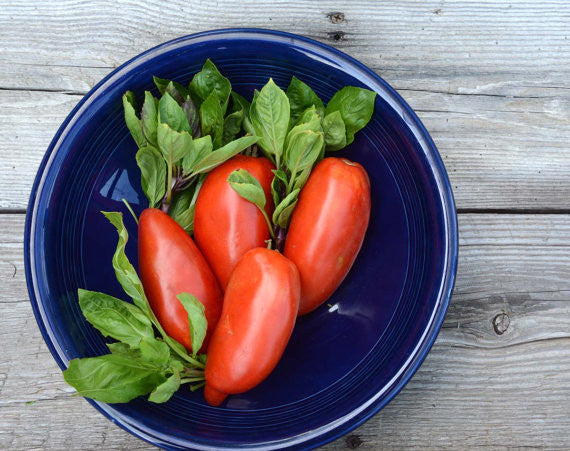 Heirloom Paste Tomato San Marzano Seeds