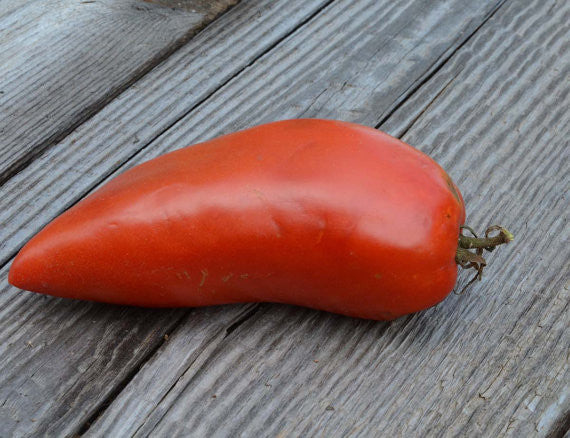 San Marzano Heirloom Paste Tomato