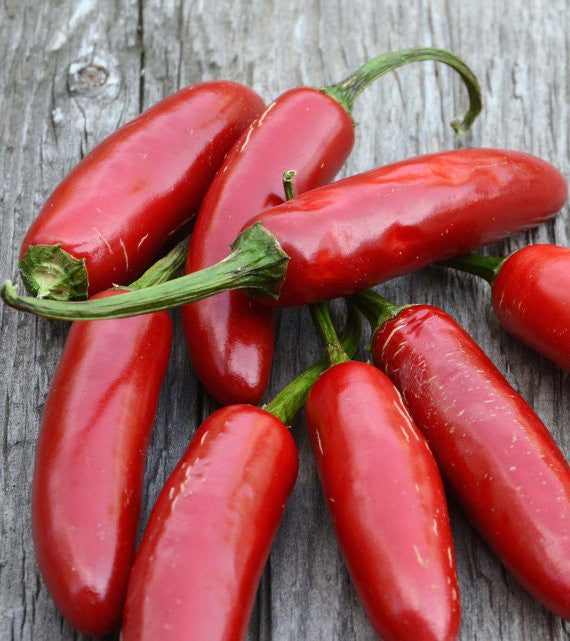 Heirloom Serrano Peppers