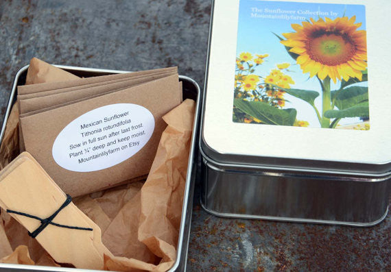 Heirloom Sunflowers Garden Kit