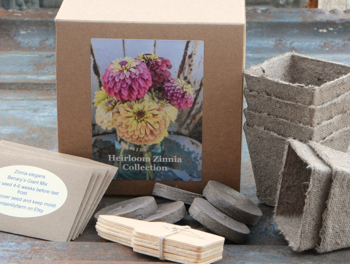 Zinnia Seed Kit by Mountainlily Farm