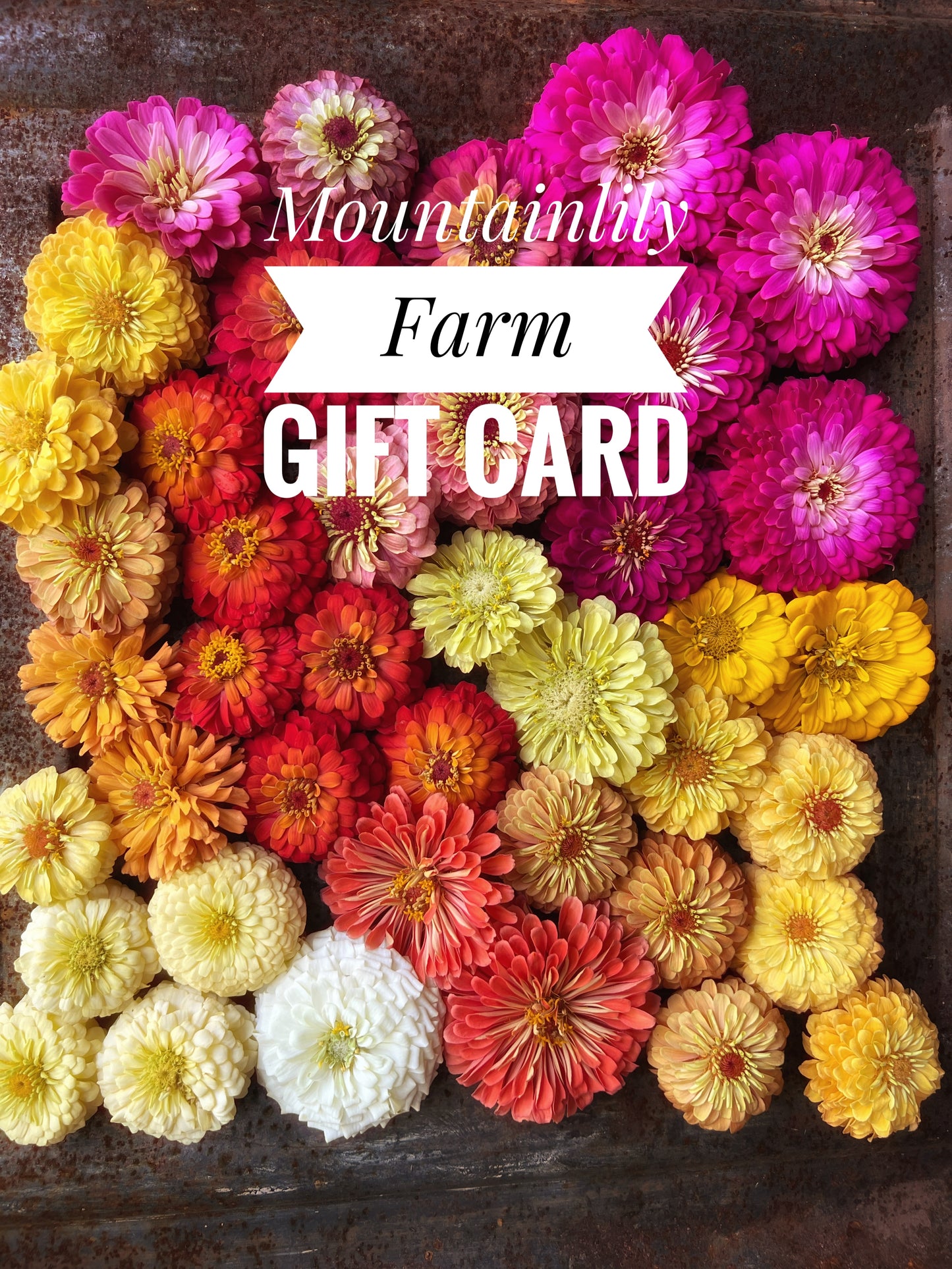 Mountainlily Farm Gift Card
