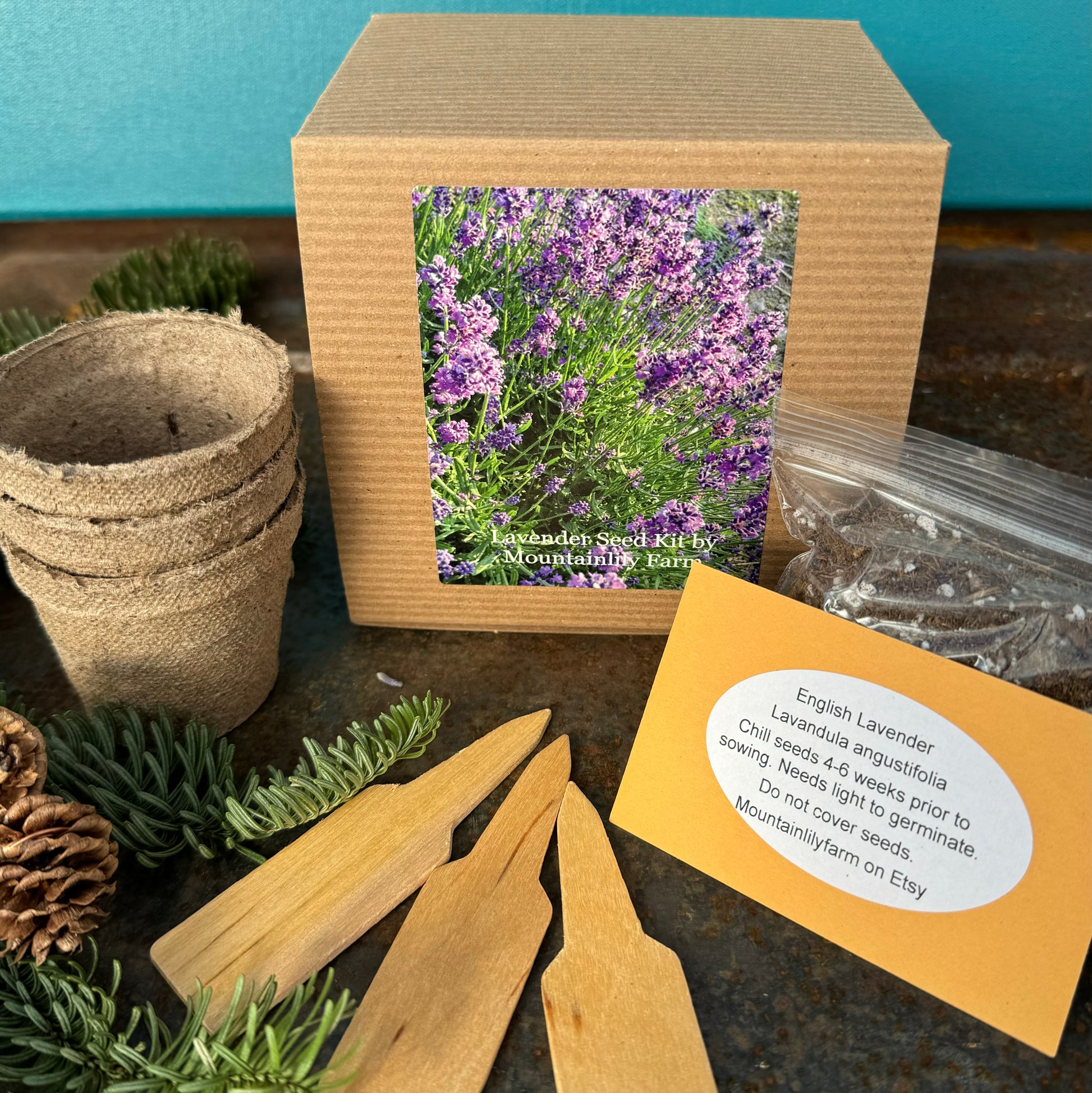 DIY English Lavender seed kit. Lavender seeds and garden supplies