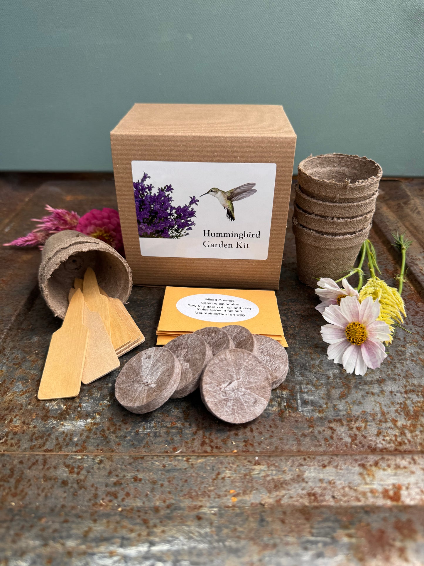 Hummingbird Garden Kit, Easy to Grow Flowers for Hummingbird Gardens