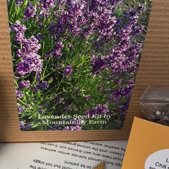 lavender garden kit with seed and growing instructions