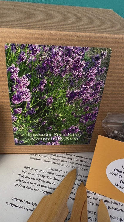 lavender garden kit with seed and growing instructions