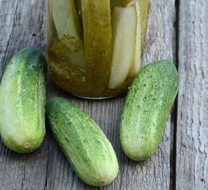 Cucumber Seeds Homemade Pickles