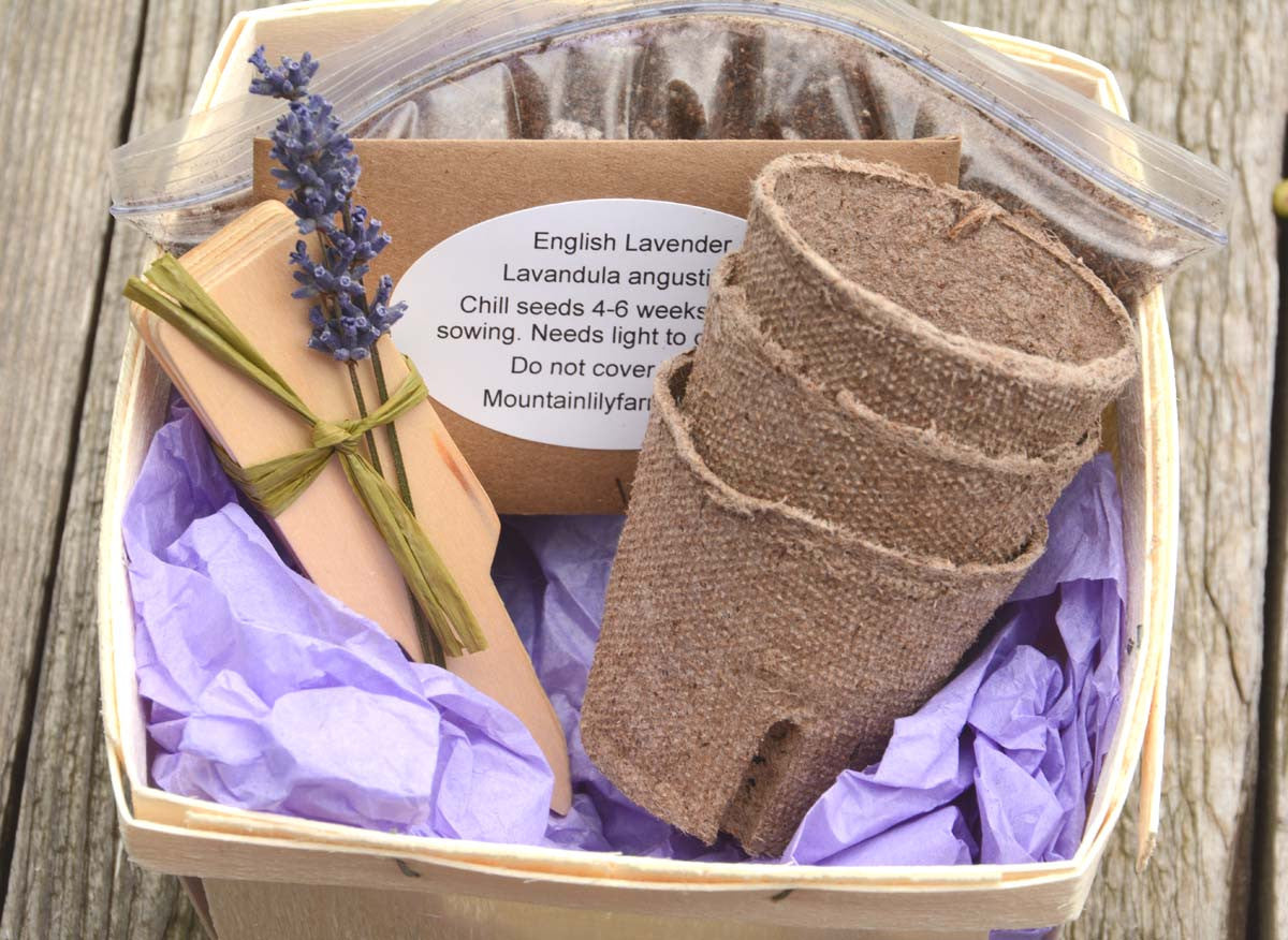 Lavender Seed Gift Basket