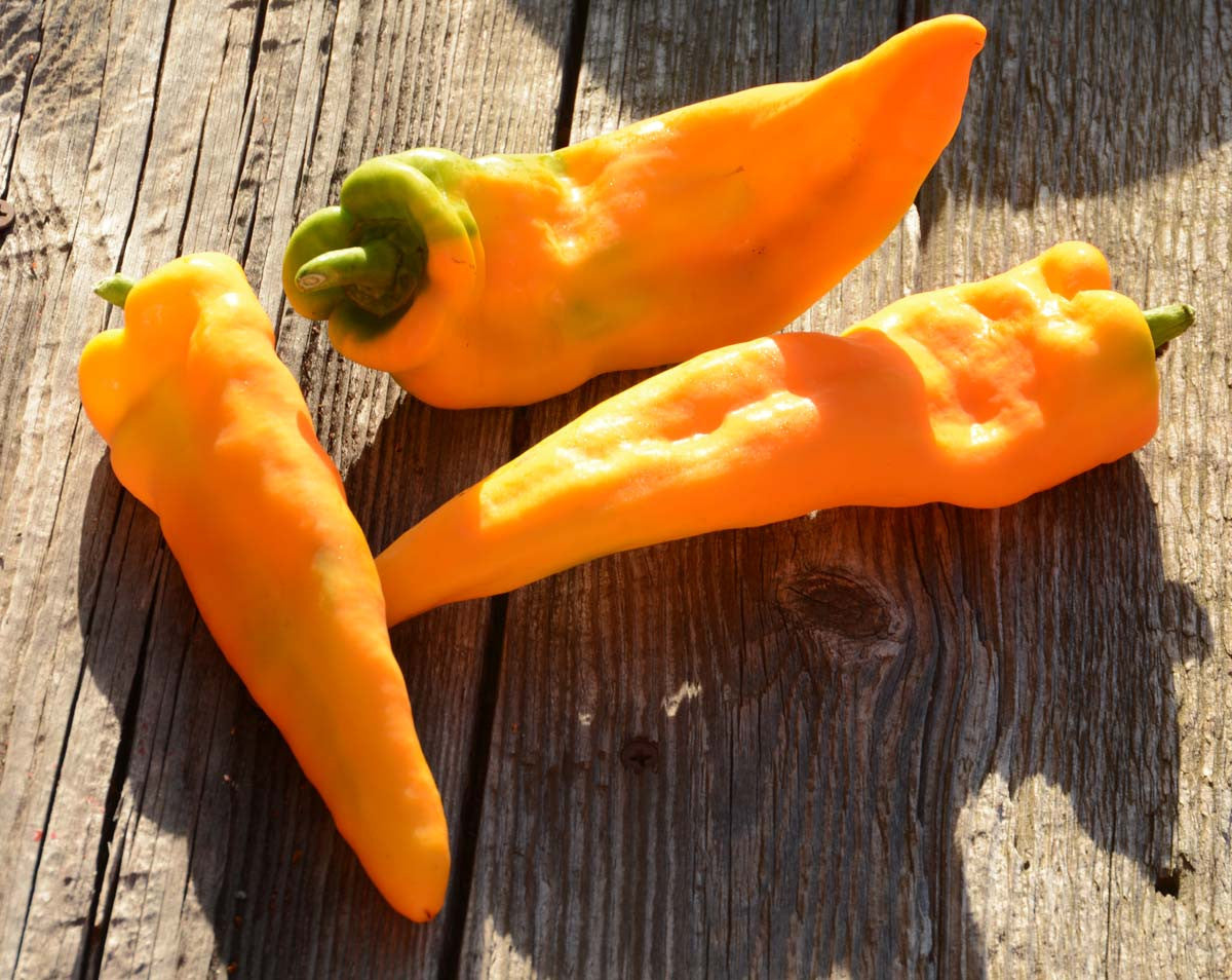 Sweet Banana Pepper Heirloom Pepper Seeds