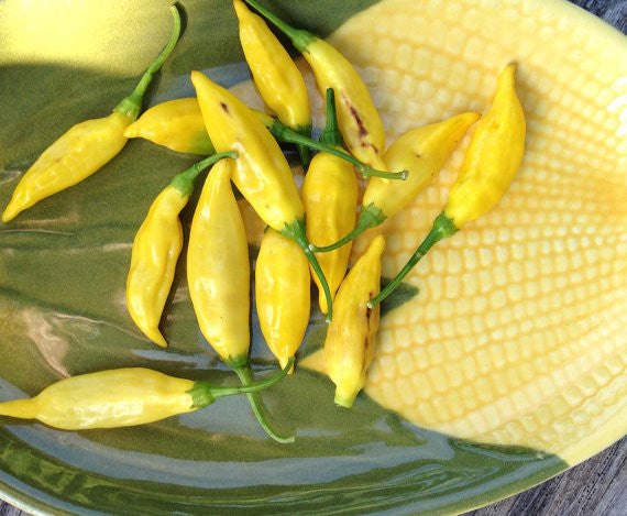 Lemon Drop Aji Limon Pepper Seeds