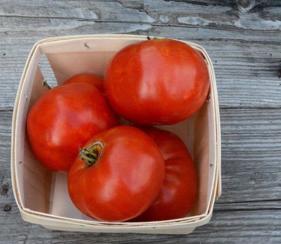 Heirloom Beefsteak Tomato Seeds