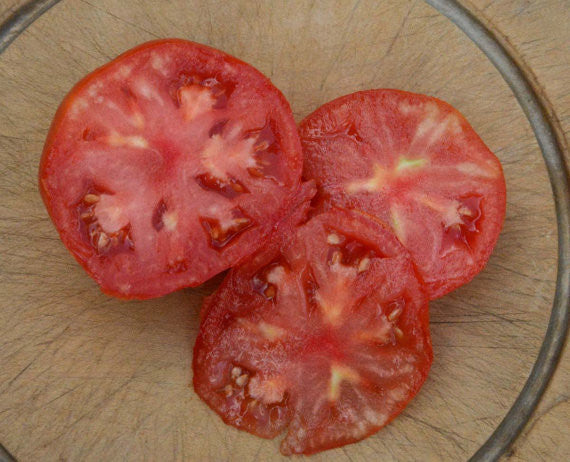 Brandywine Tomato Heirloom Tomato Seeds Old Fashioned Beefsteak Tomato –  Mountainlily Farm