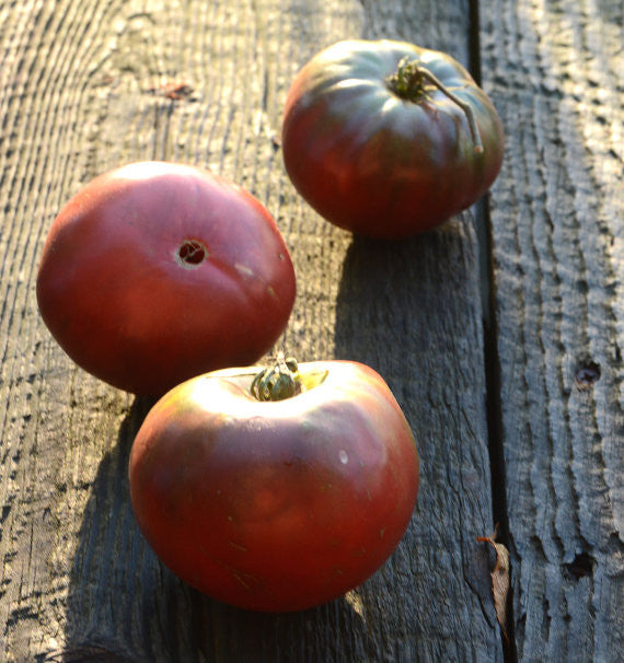 Black Krim Tomato Seeds