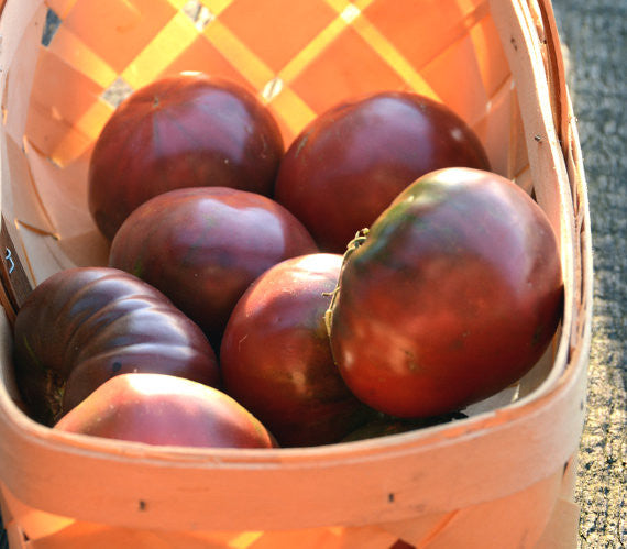 Black Krim Heirloom Tomato Seeds