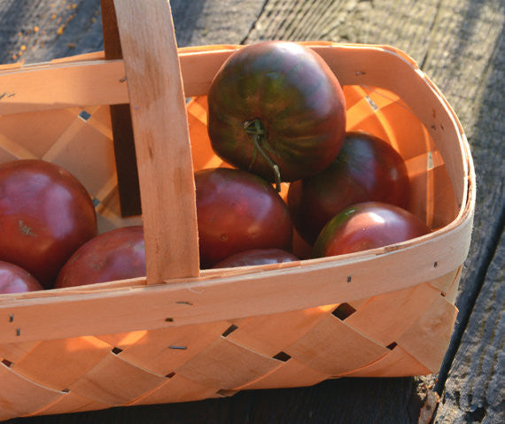 Colorful Heirloom Tomatoes Open Pollinated Non GMO Seeds