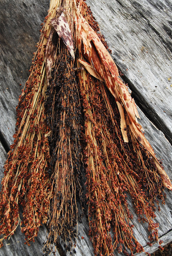 Dried Broomcorn Great For Autumn Decorating