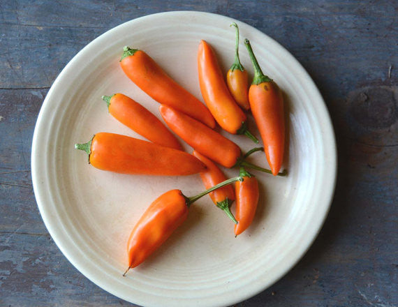 Bulgarian Carrot Pepper Seeds