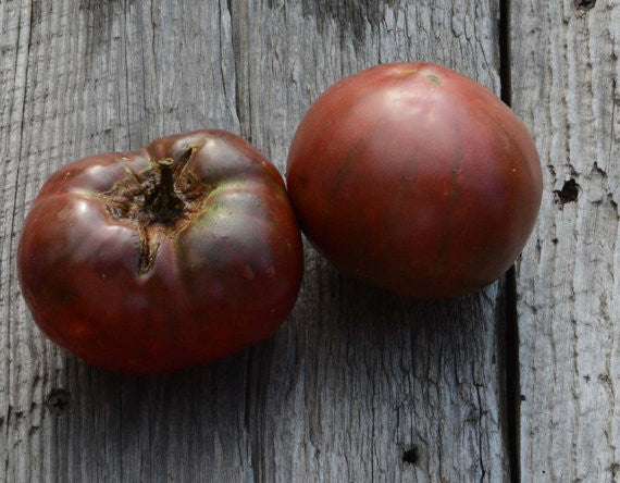 Heirloom Tomato Seeds Cherokee Purple