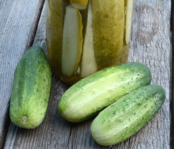Max Pack Pickling Cucumber seeds