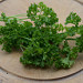 Petroselinum hortensis Seeds Curled Parsley