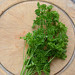 Curled Parsley Seeds Herb Garden Favorite