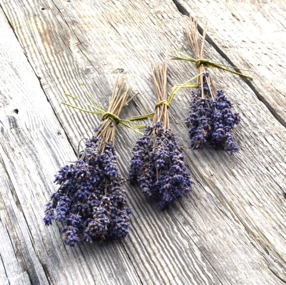 Dried English Lavender Wands 