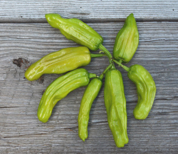 Pepper Seeds For Sale Golden Greek Pepperoncini