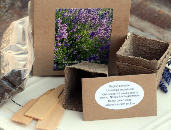 Lavender Garden Seed Kit Mountainlily Farm