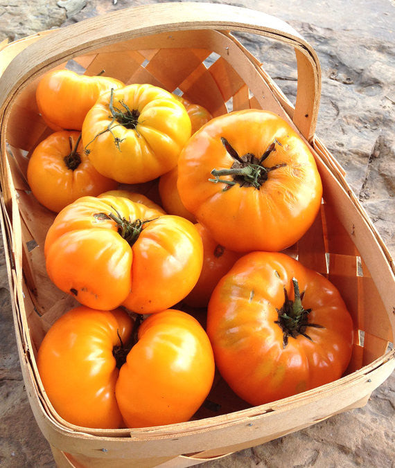 Kellogg's Breakfast Tomato Orange Heirloom Tomato