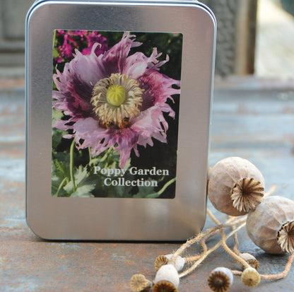 Poppy Seed Collection, Easy to Grow Poppy Garden Seeds, 4 Varieties of Poppy Seeds