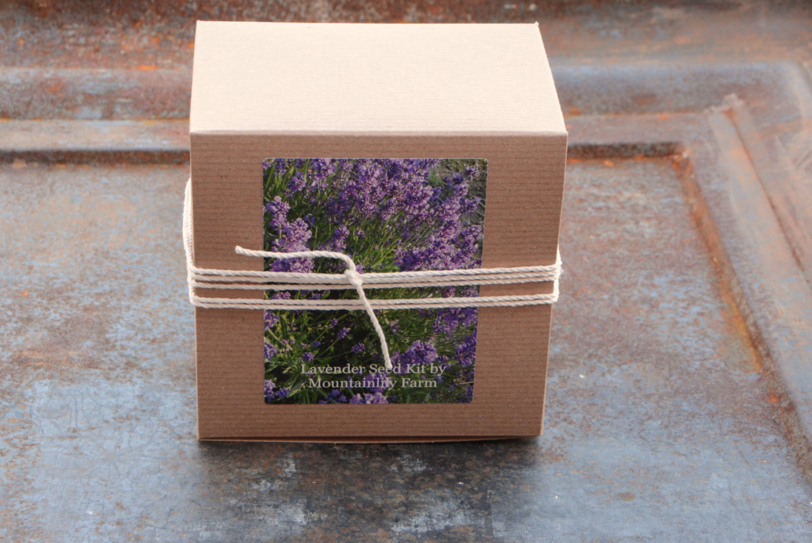 buy english lavender seeds Lavender Garden Seed Kit, Grow Your Own Organic Lavender – Mountainlily Farm