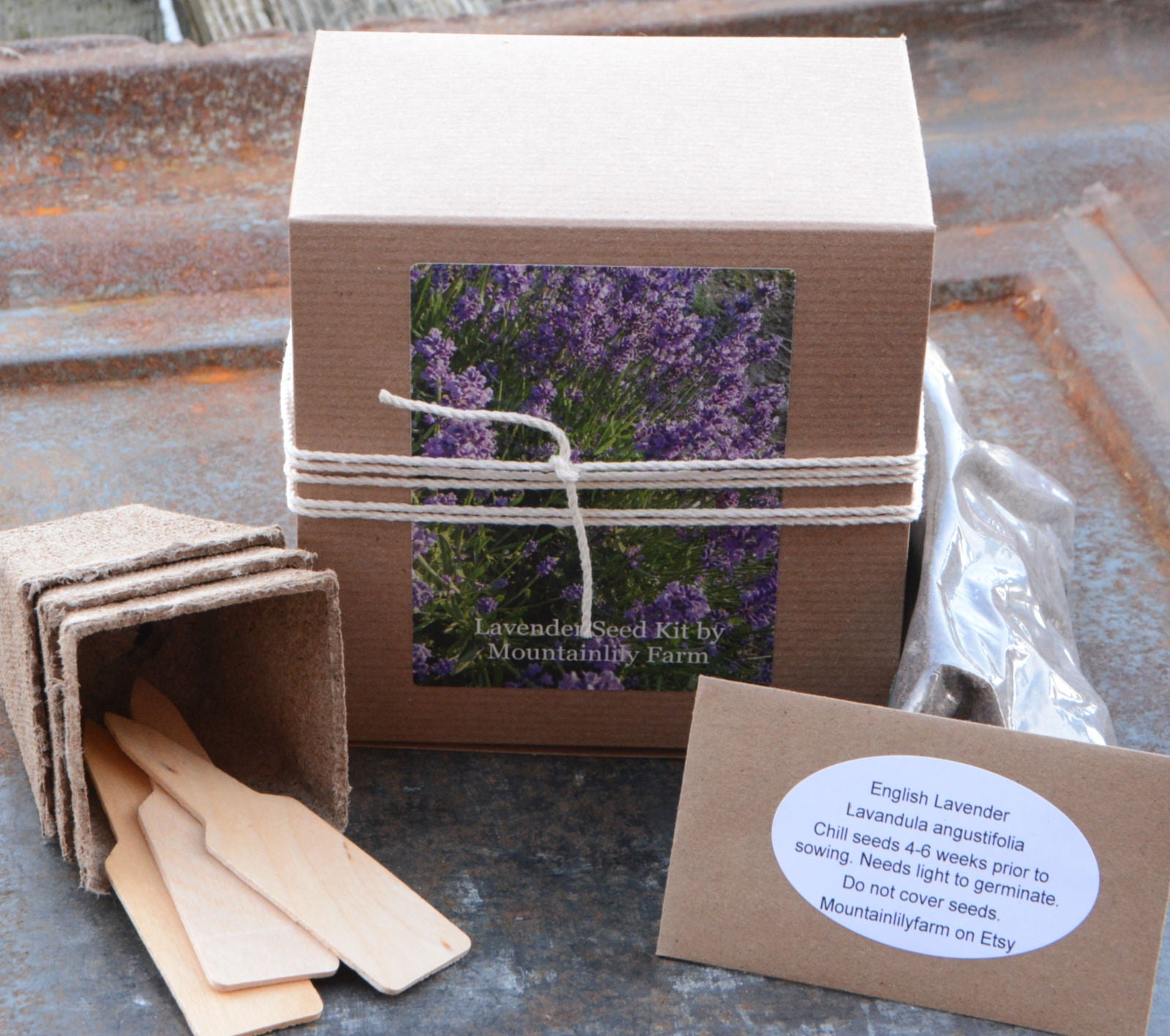 lavender seed to flower Lavender Garden Seed Kit, Grow Your Own Organic Lavender – Mountainlily Farm