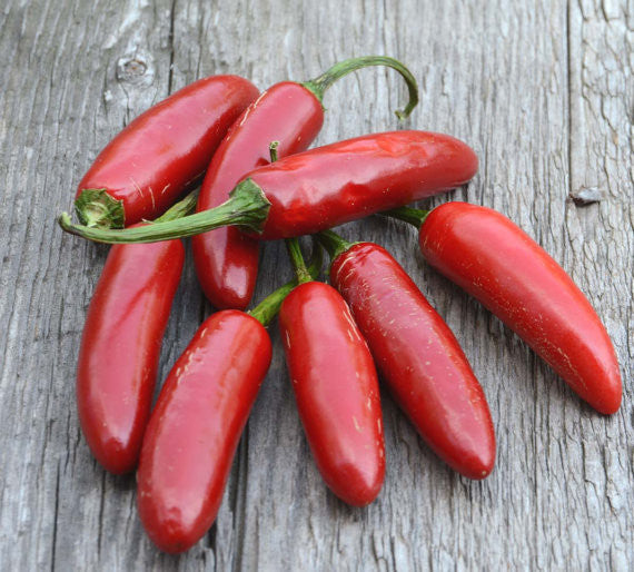 Hot Pepper Seeds Serrano Peppers