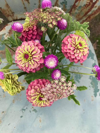 Summer Flower Arrangement with Gomphrena 