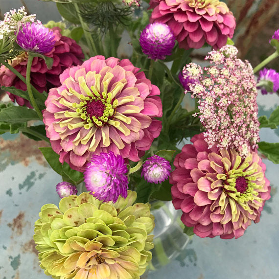 Gomphrena flowers in cut flower arrangement
