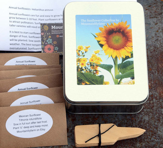 Mountainlily Farm Heirloom Sunflower Garden Kit